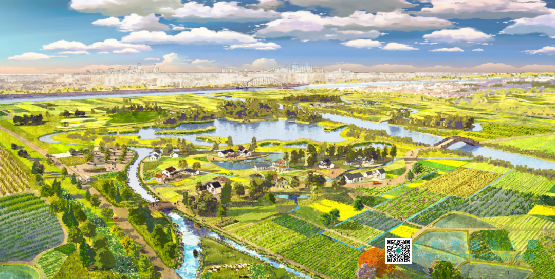 上海市乡村风貌规划引导研究——以上海市郊野乡村风貌规划设计导则为例-自然资源达人